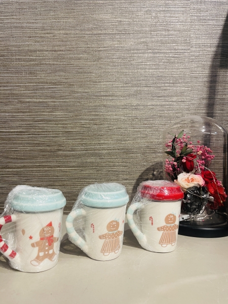2016 Starbucks Korea Christmas Demi Mug Set
